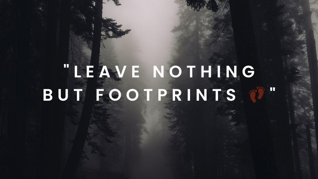 this image is of forest and have text "leave nothing but footprints" about Short Nature Captions For Instagram 