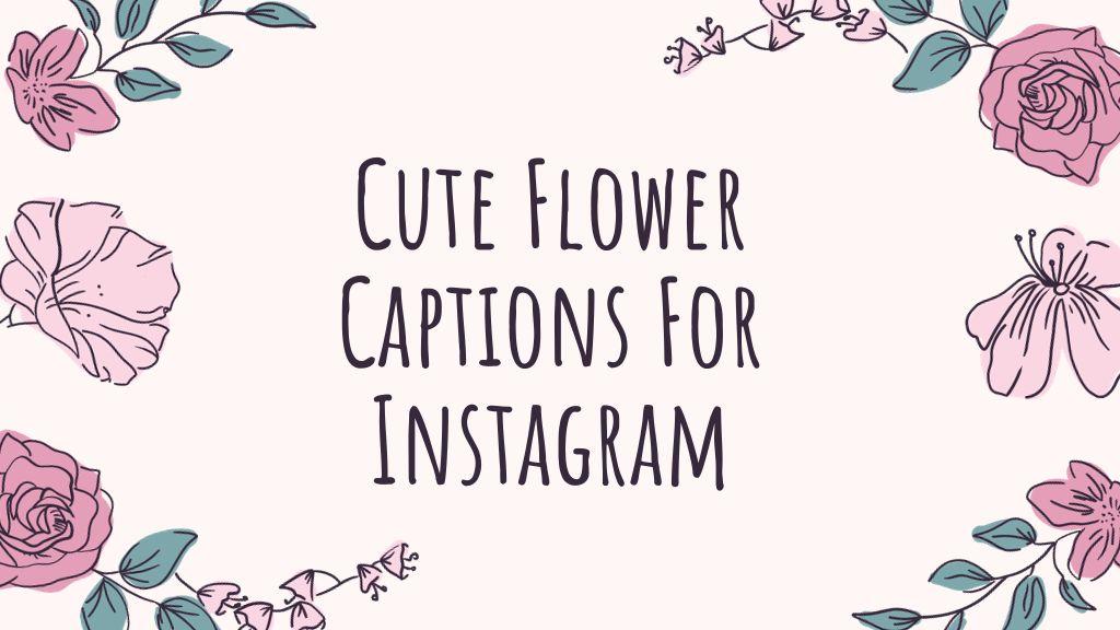 400+ Perfect Cute Flower Captions For Instagram